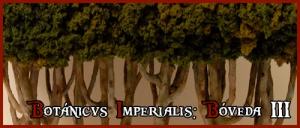 Portada-Tree-Arbol-Bosque-Forest-Wood-Boveda-Silvanos-Wargames-Elves-Warhammer-Escenografia-Scenery-Wargames